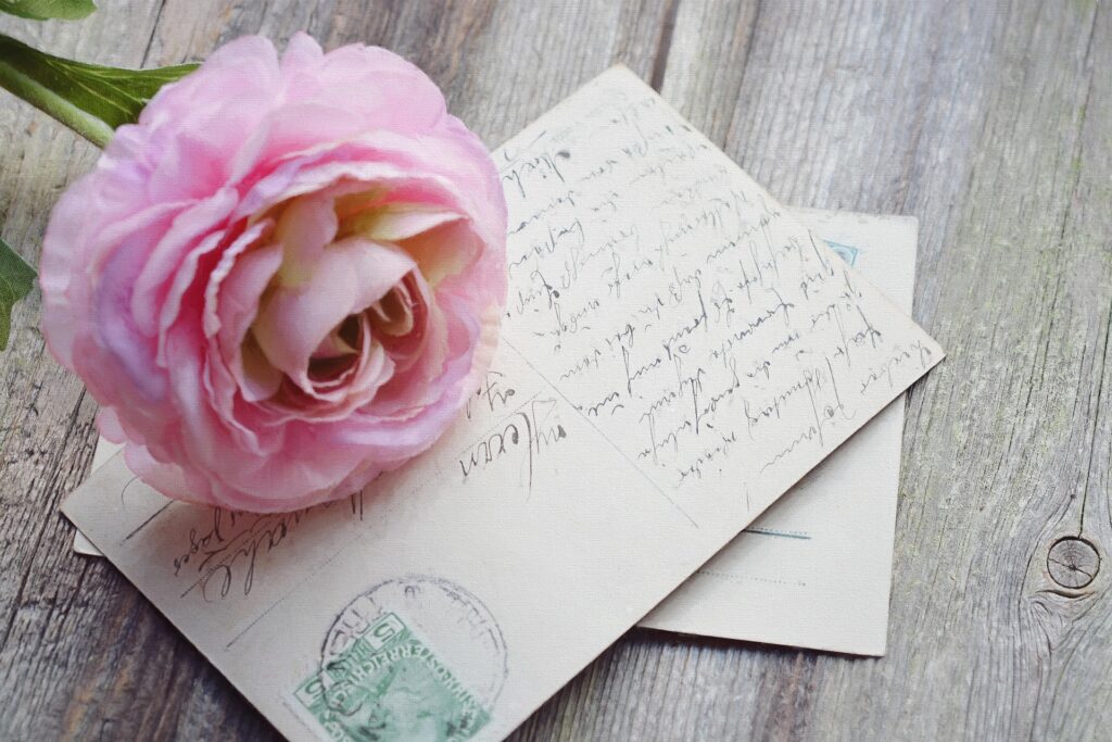 Vintage postcards with a pink flower resting on them